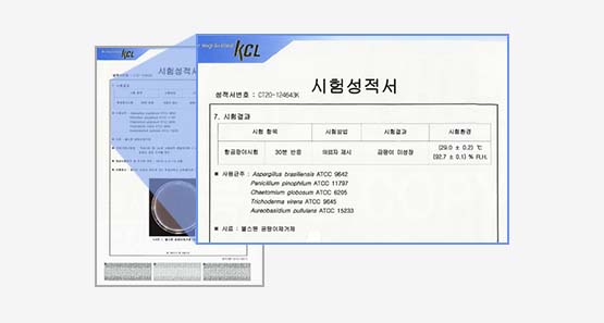 항곰팡이 시험