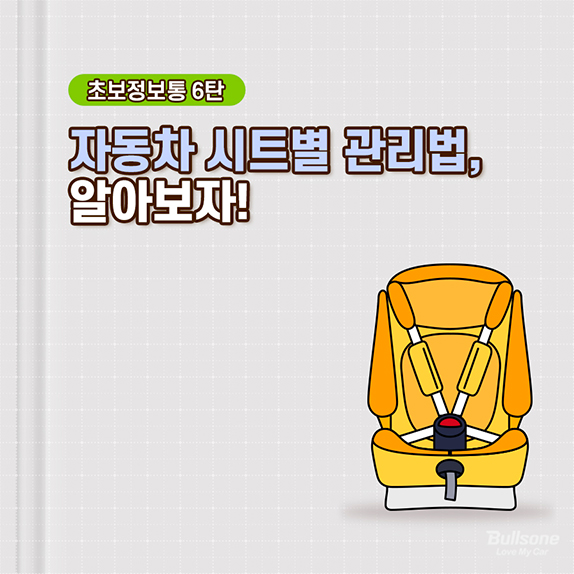 [초보정보통] 6탄 자동차 시트별 관리법 알아보자!