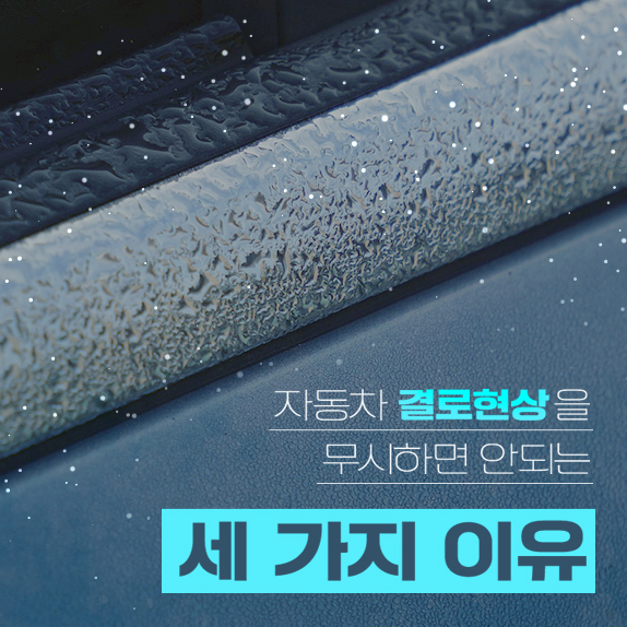 겨울철 골칫거리 #결로현상내 차에도